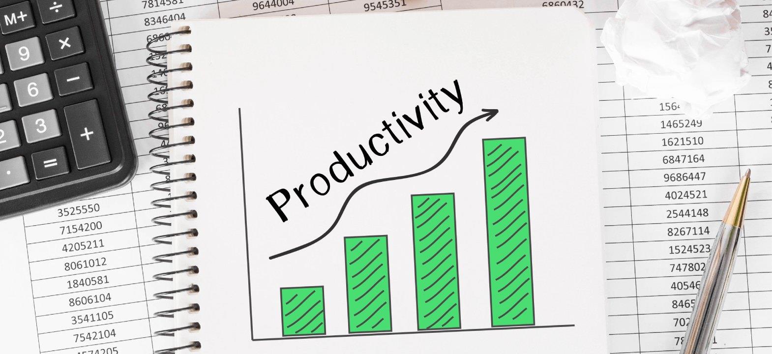Productivity Measurement Rationalization and Application
